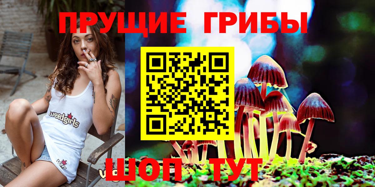 Псилоцибиновые грибы Cubensis  Вход с VPN  Майский  Галлюциногенные грибы мухоморы 